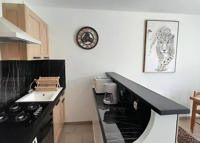 Sassone, Piscine, Jacuzzi Et Vue Panoramique Sur Ajaccio